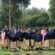 Kansen in Kenia